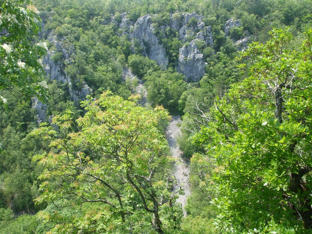 Osterija Na Planinci Bed and Breakfast Divača Eksteriør billede